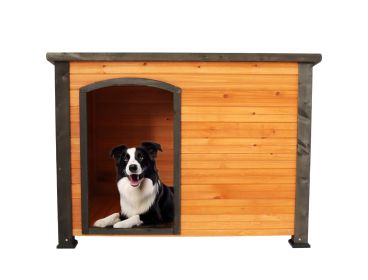 Discount treatment 45"Dog House Outdoor and indoor wooden kennel, winter strap with elevated feet, large dog weatherproof (gold red and black) - as Pi