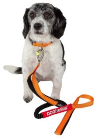 Dog Helios Neo-Indestructible Easy-Tension Sporty Embroidered Thick Durable Pet Dog Leash And Collar - Orange - Medium