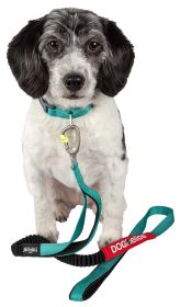 Dog Helios Neo-Indestructible Easy-Tension Sporty Embroidered Thick Durable Pet Dog Leash And Collar - Aqua Blue - Large