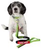 Dog Helios Neo-Indestructible Easy-Tension Sporty Embroidered Thick Durable Pet Dog Leash And Collar - Green - Small