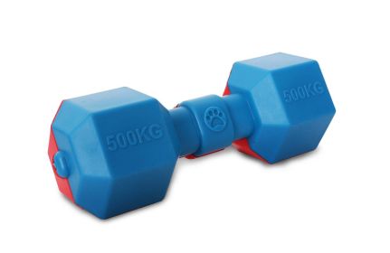 Pet Life Dumbbell Durable Water Floating Chew And Fetch Dog Toy - DT16RDB