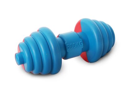 Pet Life Iron-Wag Durable Water Floating Chew And Fetch Dog Toy - DT17RDB