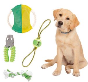 4 Piece Tennis Pet Toy Set - GF9