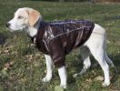 Wuff-Rider Fashion Suede Stitched Pet Coat - Medium