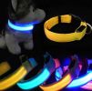 Pet Dog Nylon Safety Collar LED Light Puppy Necklace Dog Accessories - blue