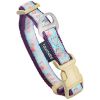 Touchdog 'Avery Patterned' Tough Stitched Embroidered Collar and Leash - Light Blue - Small