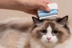 Pet Life 'Zipocket' 2-in-1 Underake and Stainless Steel Travel Grooming Pet Comb - Blue