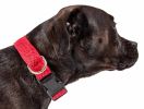 Pet Life 'Aero Mesh' 360 Degree Dual Sided Comfortable And Breathable Adjustable Mesh Dog Collar - Red - Small