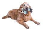 Pet Life Cozy Play Plush 2 Set Of Matching Squeaking Chew Dog Toys - Grey/Blue