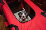 Folding Deluxe 360 Vista View House Pet Crate - X-Small