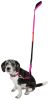 Dog Helios Neo-Indestructible Easy-Tension Sporty Embroidered Thick Durable Pet Dog Leash And Collar - Pink - Large