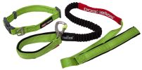 Dog Helios Neo-Indestructible Easy-Tension Sporty Embroidered Thick Durable Pet Dog Leash And Collar - Green - Small