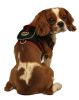 Mesh Pet Harness With Pouch - Small