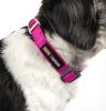 Dog Helios Neo-Indestructible Easy-Tension Sporty Embroidered Thick Durable Pet Dog Leash And Collar - Pink - Medium
