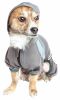 Dog Helios 'Namastail' Lightweight 4-Way Stretch Breathable Full Bodied Performance Yoga Dog Hoodie Tracksuit - Grey - Large