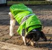 Reflecta-Glow Reflective Waterproof Adjustable Pvc Pet Raincoat - Medium