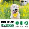 Dog Allergy Relief Chews Dog Itching Skin Relief Treatment Pills 170 Treats Anti Itch for Dogs - Yuma'S