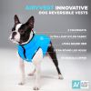 Lightweight Reversible Winter Dog Coat XS Size Black Blue Warm Dog Jacket Water Resistant Windproof Dog Jacket for Small Dogs Comfortable Dog Vest
