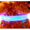 Pet Dog Nylon Safety Collar LED Light Puppy Necklace Dog Accessories - blue