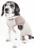 Pet Life Active 'Aero-Pawlse' Heathered Quick-Dry And 4-Way Stretch-Performance Dog Tank Top T-Shirt - Brown - Small