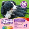Prenatal Dog Vitamins Multivitamin for Dogs and Cats with Folic Acid Minerals and Amino Acids. Ideal for Pregnant Breast Feeding and Newborn Pets Seni