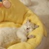 Warm cat bed and dog bed